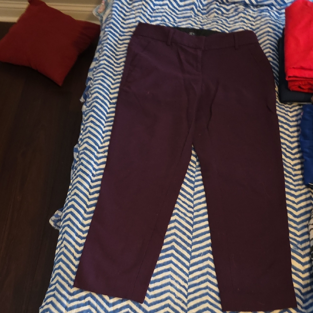 LOFT Men's Deep Purple Dress Pants